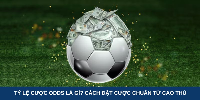 Tỷ lệ cược Odds là gì? Cách đặt cược từ cao thủ Bongvip